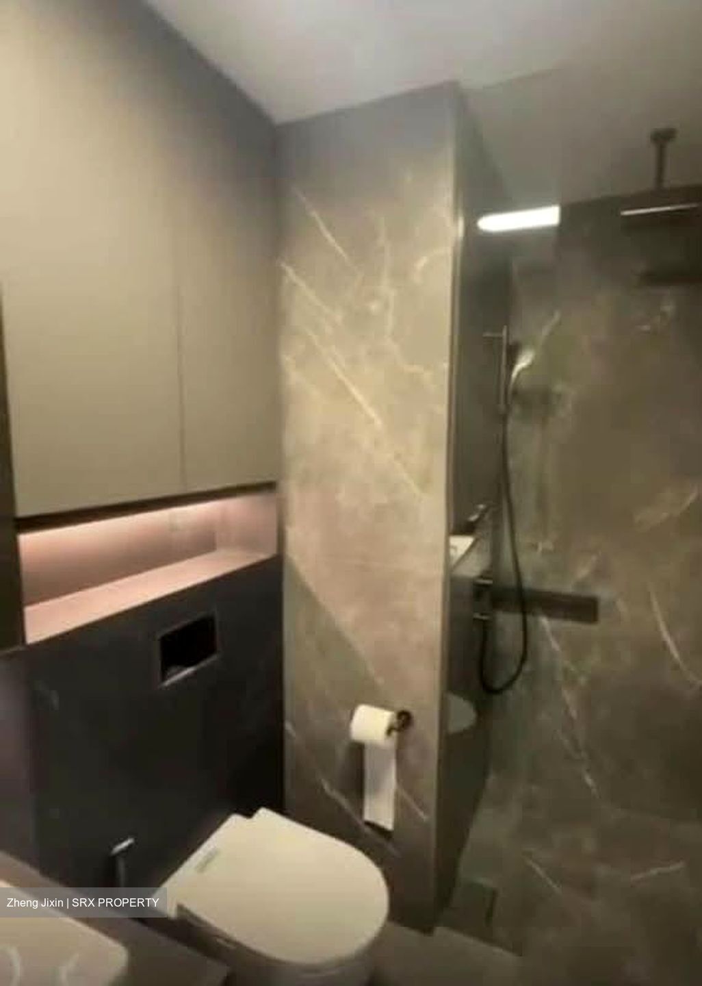 Irwell Hill Residences (D9), Apartment #560315161